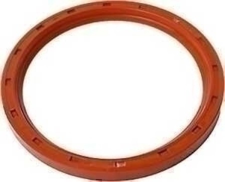 Simmerring KW hinten